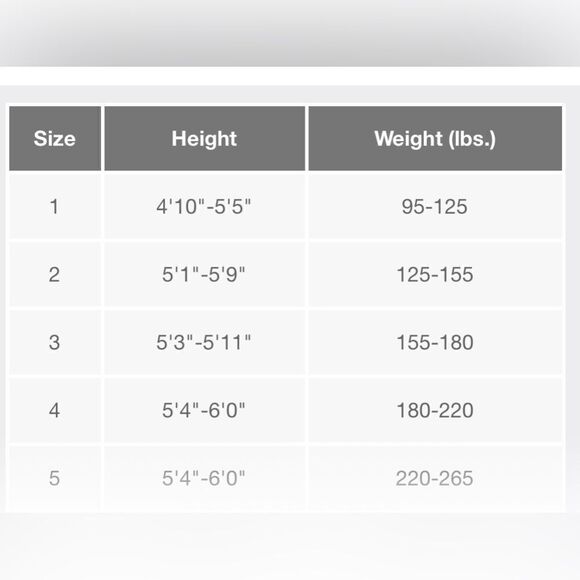 Spanx NIB Assets Shaping Pantyhose in Black Size 1 - Picture 5 of 5